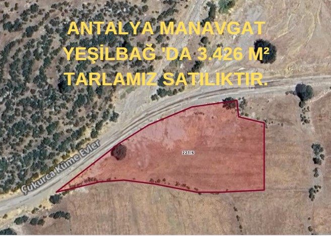 ANTALYA MANAVGAT YEŞİLBAĞ 'DA 3.426 M² TARLA SATILIKTIR. - ANTALYA MANAVGAT fotoğraf 5